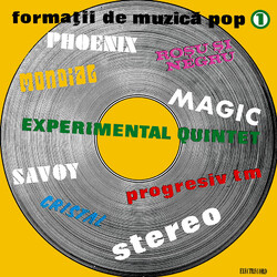 Various Formații De Muzică Pop (1) Vinyl LP USED