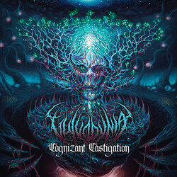 Vulvodynia Cognizant Castigation Vinyl LP USED
