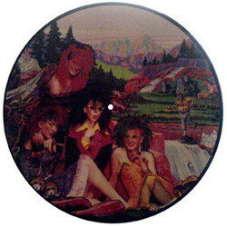 We've Got A Fuzzbox And We're Gonna Use It What's The Point USED VINYL 12INCH PICTURE DISC