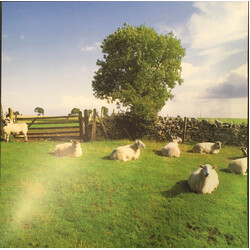 The KLF Chill Out Vinyl LP USED
