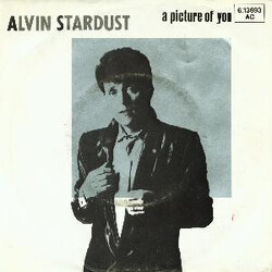 Alvin Stardust A Picture Of You USED VINYL 7INCH SINGLE 45 RPM