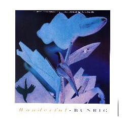 Runrig Wonderful USED VINYL 7INCH SINGLE LIMITED EDITION
