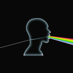 Vocomotion Dark Side Of The Moon A Cappella Vinyl LP USED
