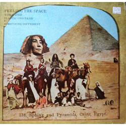 Yoko Ono / The Plastic Ono Band / Something Different Feeling The Space Vinyl LP USED