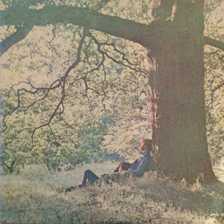Yoko Ono / The Plastic Ono Band Yoko Ono / Plastic Ono Band Vinyl LP USED