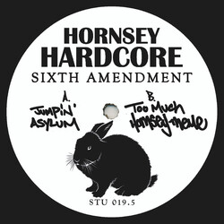 Hornsey Hardcore Sixth Amendment USED VINYL 12INCH 33 S RPM EP