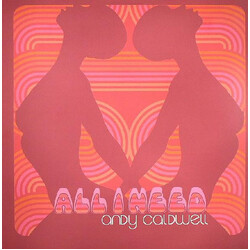 Andy Caldwell All I Need USED VINYL 12INCH 33 S RPM EP