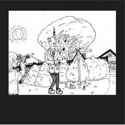 Teen Suicide It's the Big Joyous Celebration, Let's Stir the Honeypot Vinyl 2 LP USED