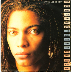 Terence Trent D'Arby If You Let Me Stay Vinyl 7" USED