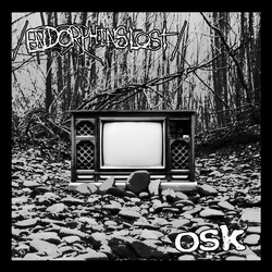 Endorphins Lost / OSK (2) Endorphins Lost / OSK USED VINYL 7INCH 45 RPM EP