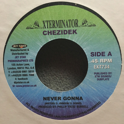 Chezidek Never Gonna Vinyl 7" USED