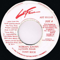 The Tony Rich Project Nobody Knows Vinyl 7" USED