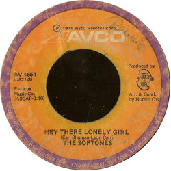 The Softones Hey There Lonely Girl Vinyl 7" USED