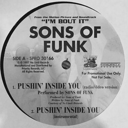 Sons Of Funk Pushin' Inside You Vinyl 12" USED