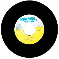 Jack Radics Tequila Sunset Vinyl 7" USED