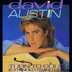 David Austin Turn To Gold Vinyl 12" USED