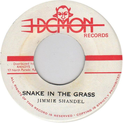 Jimmie Shandel Snake In The Grass Vinyl 7" USED
