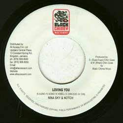Nina Sky / Notch Loving You Vinyl 7" USED