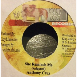 Anthony Cruz She Reminds Me Vinyl 7" USED