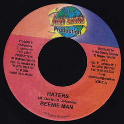 Beenie Man / Jazzwad Haters / Mad Instrument Riddim Vinyl 7" USED