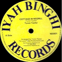 Tyrone Taylor Cottage In Negrill / Don't Destroy Me Vinyl 12" USED