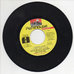Nicky Burt / Assassin Nobody Else Vinyl 7" USED