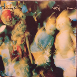 Jimmy Nellis Sort Of Normal Vinyl LP USED