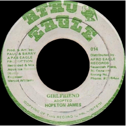 Hopeton James / Pab Eagle All Stars Girlfriend / Campers Dub The Girls Vinyl 7" USED