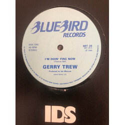 Gerry Trew I'm Doin' Fine Now USED VINYL 12INCH SINGLE 45 RPM
