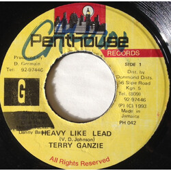 Terry Ganzie Heavy Like Lead USED VINYL 7INCH 45 RPM