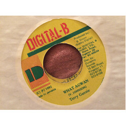 Terry Ganzie What AGwan USED VINYL 7INCH 45 RPM