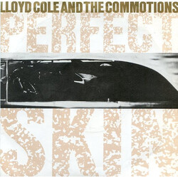 Lloyd Cole & The Commotions Perfect Skin USED VINYL 7INCH 45 RPM SINGLE