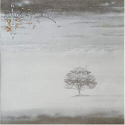 Genesis Wind & Wuthering Vinyl LP USED