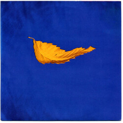 New Order True Faith / 1963 USED VINYL 7INCH 45 RPM SINGLE