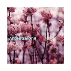 Arkestra One Arkestra One Vinyl LP USED