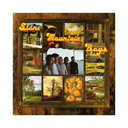 Stone Mountain Boys Stone Mountain Boys Vinyl LP USED