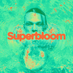 Ashton Irwin Superbloom Vinyl LP USED