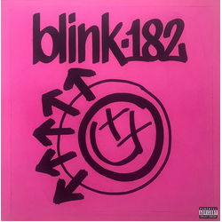 Blink-182 One More Time... Vinyl LP USED