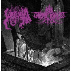 The True Werwolf / Druadan Forest The True Werwolf / Druadan Forest Vinyl LP USED