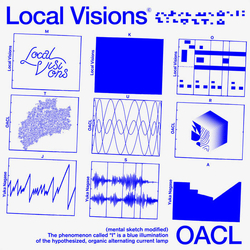 Local Visions / 長瀬有花 OACL Vinyl LP USED