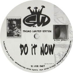 Mark Ryder Do It Now USED VINYL 12INCH LIMITED EDITION PROMO