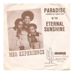 Neo Experience Paradise (Where My Baby Lies) / (Eternal) Sunshine USED VINYL 7INCH 45 RPM