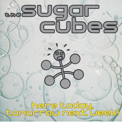 The Sugarcubes Here Today, Tomorrow Next Week! Vinyl LP USED