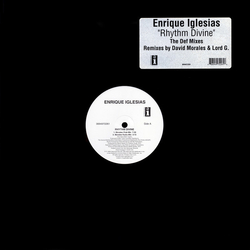 Enrique Iglesias Rhythm Divine Vinyl 12" USED