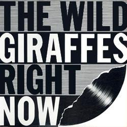 The Wild Giraffes Right Now Vinyl LP USED
