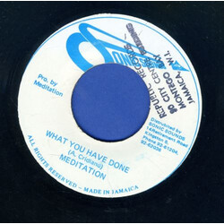 The Meditations What You Have Done USED VINYL 7INCH