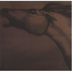 Julian Lynch Mare Vinyl LP USED