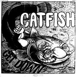 Catfish (6) Get Down Vinyl LP USED