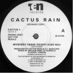Cactus Rain Mystery Train USED VINYL 12INCH PROMO 45 RPM
