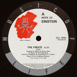 Einstein (2) The Freeze USED VINYL 12INCH 33 S RPM